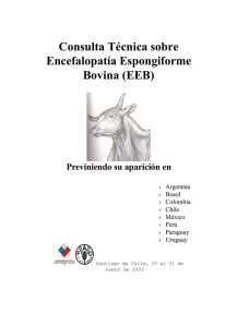 Consulta Técnica sobre Encefalopatía Espongiforme Bovina (EEB)
