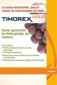 Timorex Gold