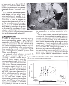 nos lleva a concluir que un refle`o periférico de