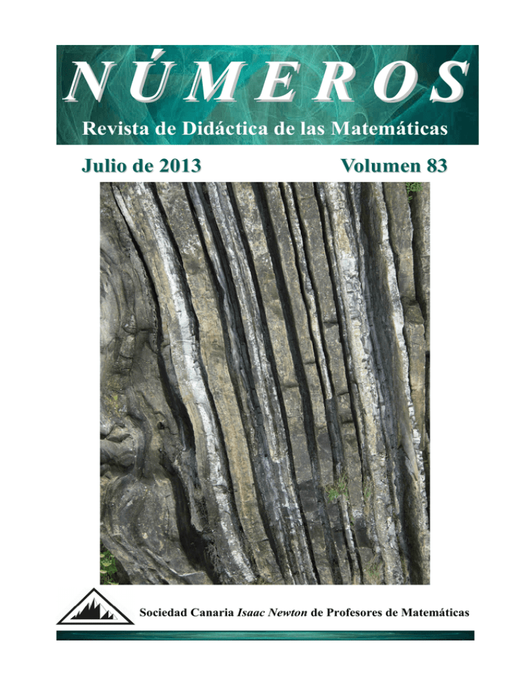 Revista De Didáctica De Las Matemáticas Julio De 2013 Volumen 83