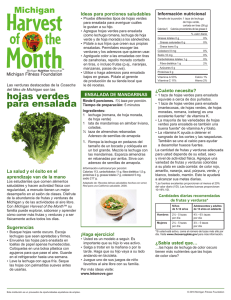 hojas verdes para ensalada - Michigan Nutrition Network