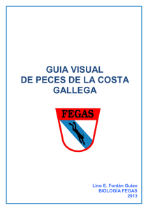 guia visual de peces de la costa gallega