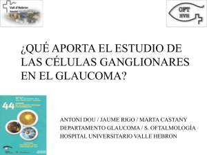 ¿qué aporta el estudio de las células ganglionares en el glaucoma?