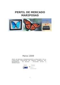 Mariposas - Santa Cruz Trade