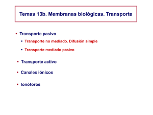 Tema 13b – membranas transporte farmacia