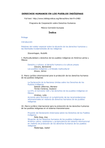 DERECHOS HUMANOS EN LOS PUEBLOS INDÍGENAS Índice