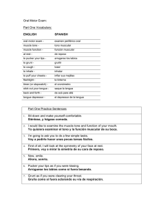 Oral Motor Exam: Part One Vocabulary: ENGLISH SPANISH Part