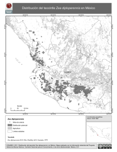 Distribución del teocintle Zea diploperennis en México