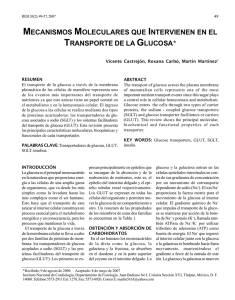 mecanismos moleculares que intervienen en el transporte