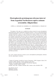 Electrophoretic proteinogram reference interval from Argentina