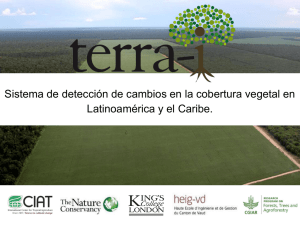 Louis Reymondin, Ph. D.: Terra-I, un ojo en los bosques peruanos