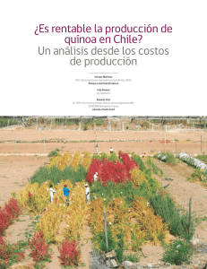 ¿Es rentable la producción de quínoa en Chile? Un análisis