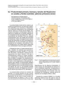 6.2 Productividad primaria, biomasa y tamaño del fitoplancton en