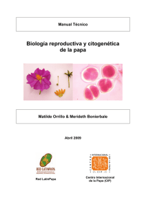 Manual Técnico Biología reproductiva y citogenética de la papa