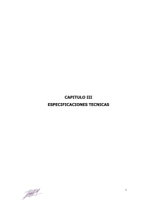 CAPITULO III ESPECIFICACIONES TECNICAS