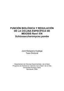 FUNCIÓN BIOLÓGICA Y REGULACIÓN DE LA CICLINA