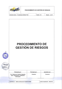 procedimiento de gestión de riesgos