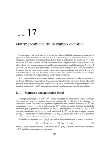 Matriz jacobiana de un campo vectorial
