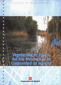BVCM003154 La vegetación de ribera del río Henares en la