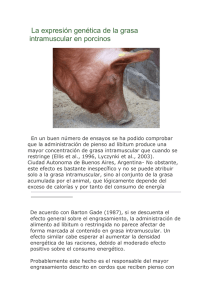 La expresión genética de la grasa intramuscular en porcinos