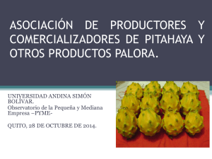 asociación de productores y comercializadores de pitajaya y otros