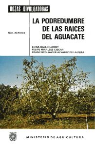 26/1978 - Ministerio de Agricultura, Alimentación y Medio Ambiente