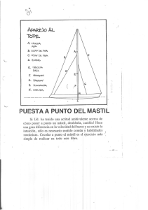 PUESTA A PUNTO DEL MASTIL