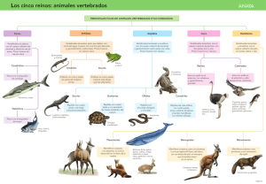 Los cinco reinos: animales vertebrados