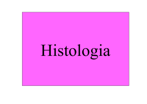 Seminario Histología II