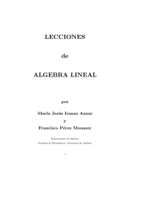 LECCIONES de ALGEBRA LINEAL