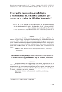 Descripción taxonómica, morfológica y etnobotánica de