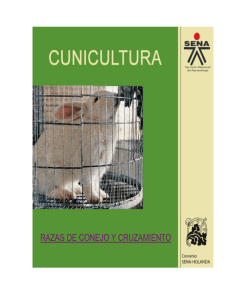 Razas de Conejos y Cruzamiento: Gu&iacute;a de Cunicultura