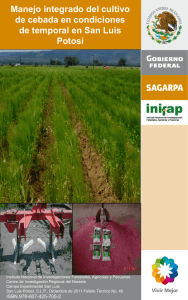 Manejo integrado del cultivo de cebada en condiciones de