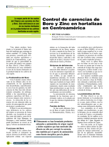 artículo revista Control de carencias de Boro y Zinc en hortalizas en