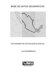 Diccionario de Datos Edafológicos esc. 1:250 000
