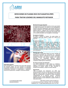 Descargar PDF - ABM Ortopedia