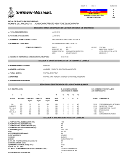 HOJA DE SEGURIDAD GUARDQUIM VIAL TRAFLEX