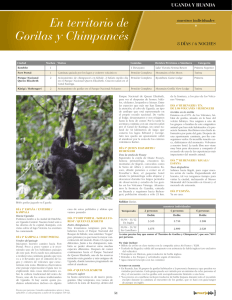 En territorio de Gorilas y Chimpancés