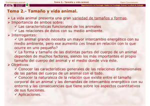 Tema 2.- Tamaño y vida animal.