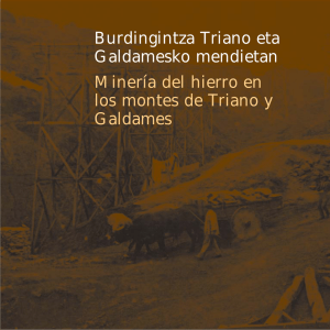 Miner&iacute;a del Hierro en Triano y Galdames: Historia y Geolog&iacute;a