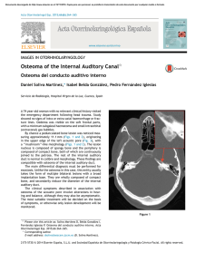Osteoma of the Internal Auditory Canal
