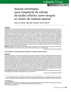 Nuevas estrategias para trasplante de células de bulbo olfativo