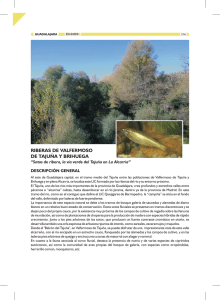 Ficha descriptiva de las Riberas de Valfermoso de Tajuña y Brihuega