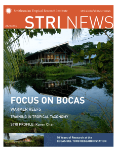focus on bocas - Smithsonian Tropical Research Institute