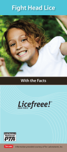 Fight Head Lice With the Facts