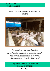 Engorde de Ganado Porcino y producción agrícola a
