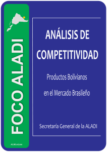 analisis de competitividad bolivia-brasil