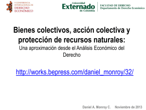 Bienes colectivos, acción colectiva y protección de recursos naturales