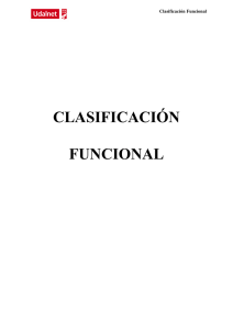 CLASIFICACIÓN FUNCIONAL
