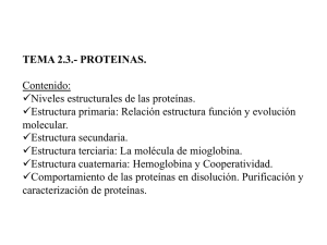 TEMA 2.3.- PROTEINAS. Contenido: Niveles estructurales de las